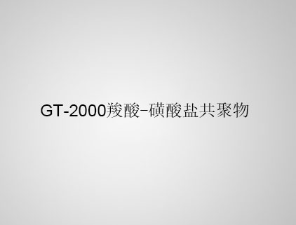 GT-2000 羧酸-磺酸鹽共聚物 