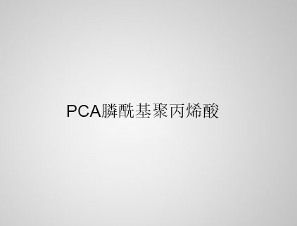  PCA 膦?；郾┧? class=